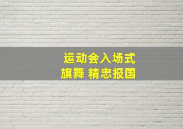 运动会入场式旗舞 精忠报国